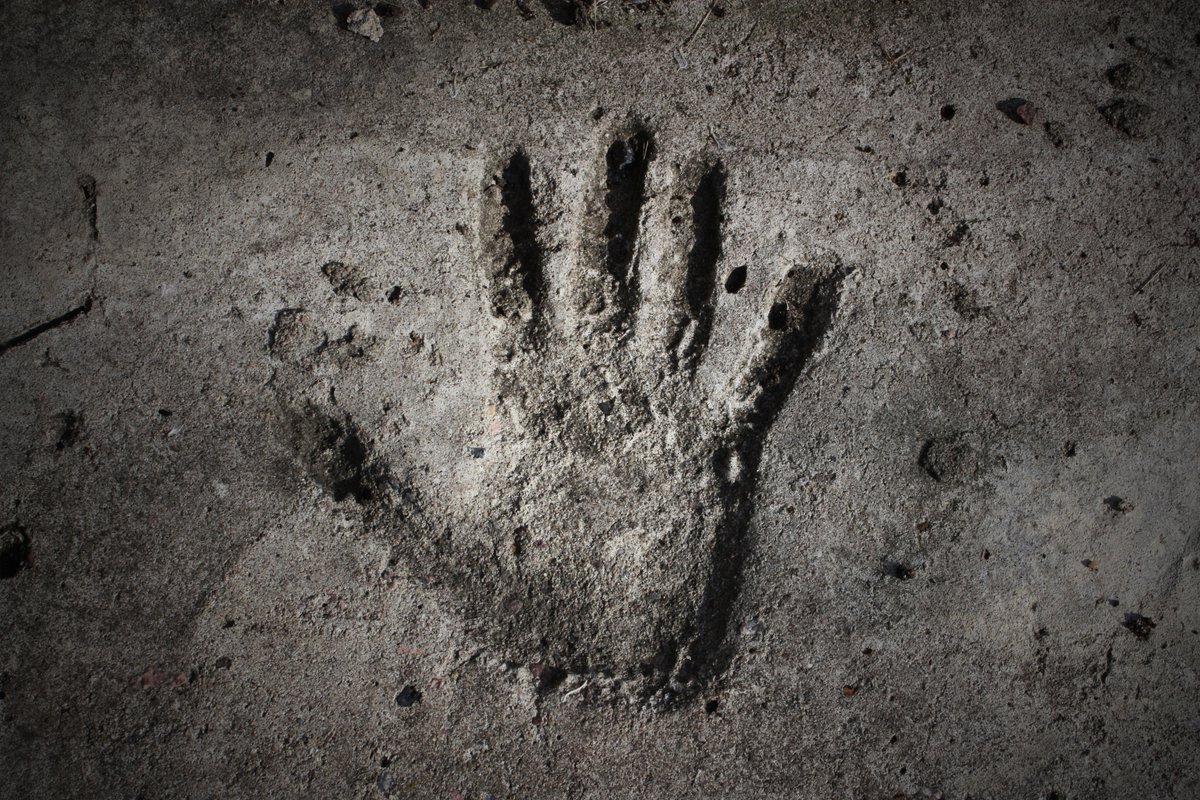 S2 E4 dropped today. Have you listed to The Godhand by <a href="/PaulLinghorn/">Paul Linghorn</a>?

Starring <a href="/ConnorMeddings/">Connor Meddings</a> and Paul Linghorn.

An arrogant young man believes he is the next Pope in waiting. But a gift from a hidden corner in Brittany may stand in his way...

#podcast #horror #PodernFamily