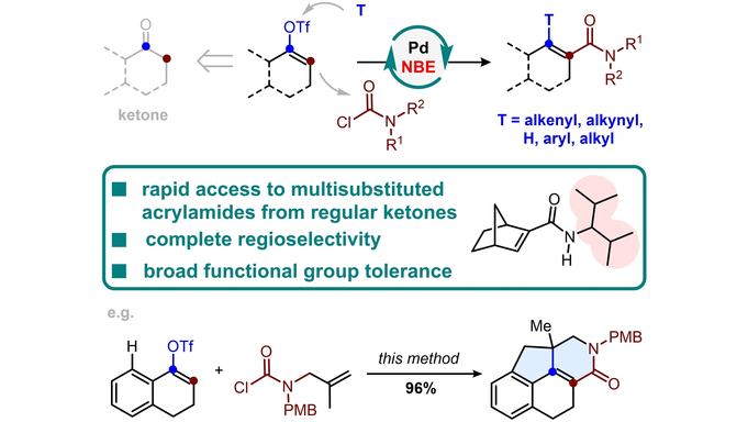 angew_chem's tweet photo. Rapid Access to Multisubstituted Acrylamides from Cyclic Ketones via Palladium/Norbornene Cooperative Catalysis (Dong) @UChiChemistry https://t.co/jwq2utoOer https://t.co/qLr0i4yy10
