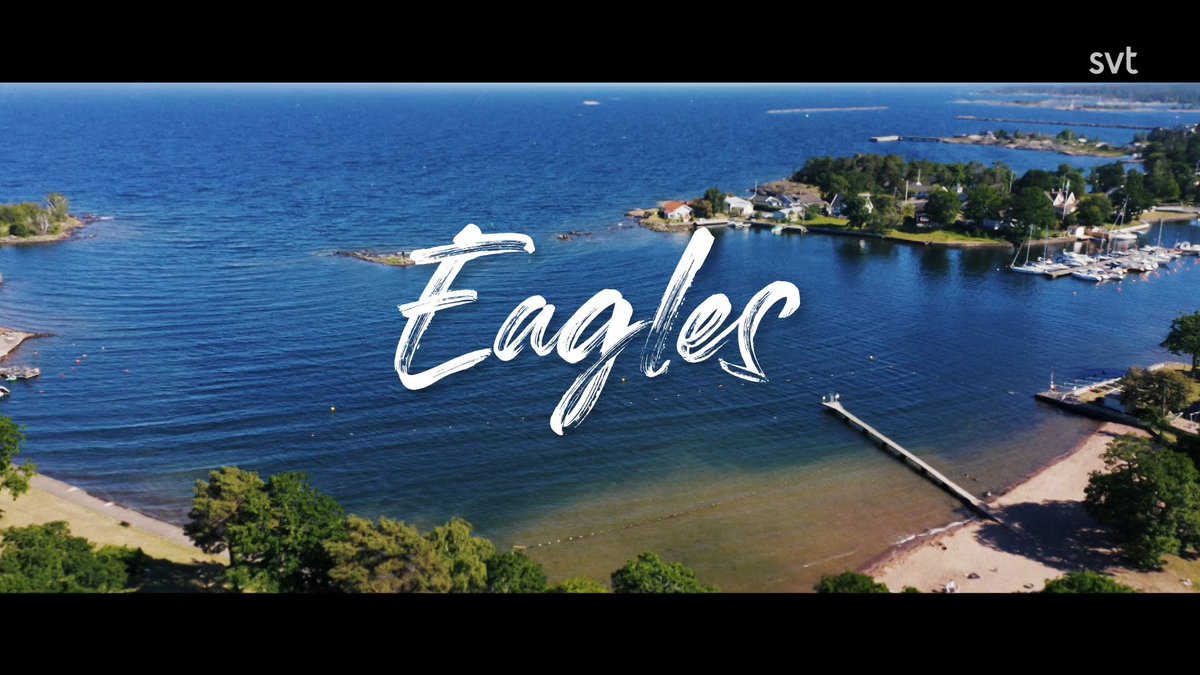 eagles_transltd's tweet photo. Eagles – The Final Day is out now with English subtitles! #SVTEagles 
🔗 https://t.co/JT52nqJ3Yv https://t.co/llSSGdGtWs