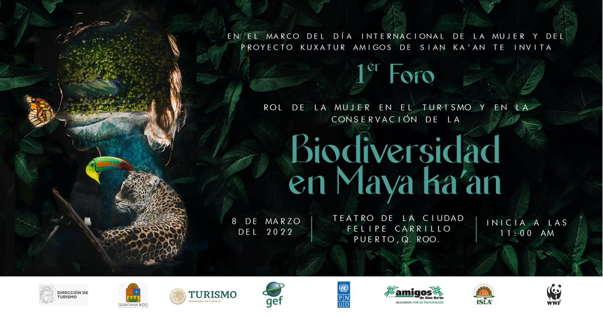 PNUD_Mexico's tweet photo. Si estás en Quintana Roo, acompáñanos al primer foro: El rol de la mujer en el turismo y la conservación de la biodiversidad en Maya Ka'an 

📆 8 de marzo
⏰ 11 am 
📍Teatro de la Ciudad, Felipe Carrillo Puerto, Q.Roo 

@AmigosSianKaan https://t.co/5p9NvRLA0u