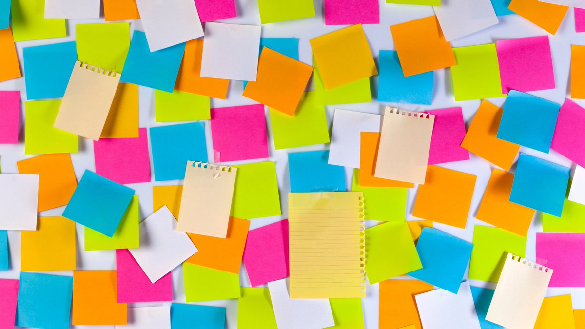 Sally Reffold tweet media