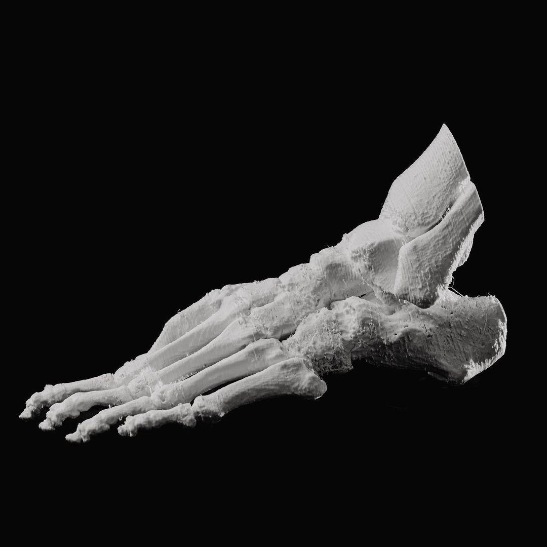 finalprint_xyz's tweet photo. Ofrecemos servicio de impresión orientados al sector médico. Aquí os mostramos la impresión 3D de un pie obtenido mediante el procesado de archivos DICOM.

#3D #impresion3D #medicina #anatomia #pie #PLA #ABS #impresora3D #render #blender #cura #zaragoza #huesca #teruel #aragon https://t.co/KVRtpvl8ex