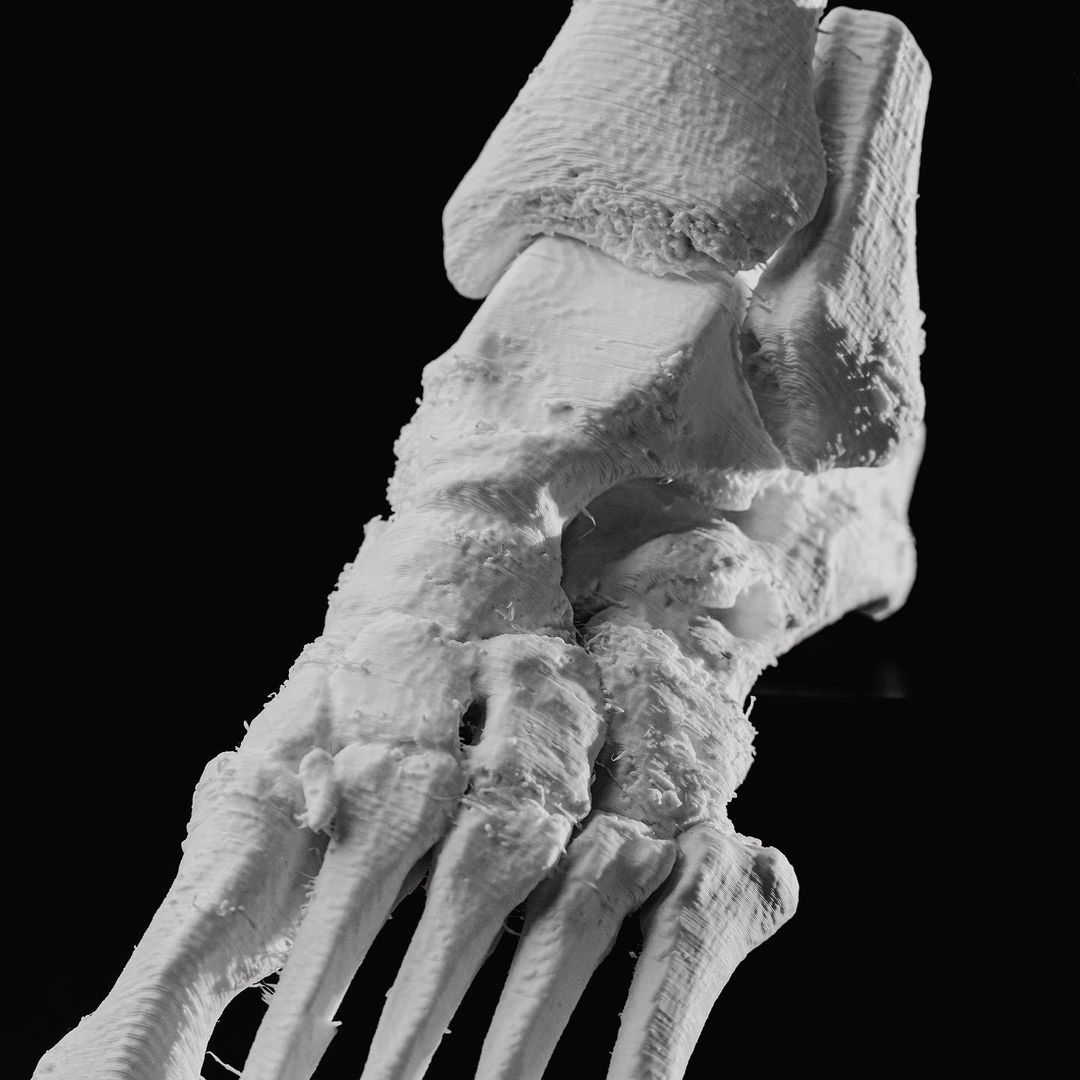 finalprint_xyz's tweet photo. Ofrecemos servicio de impresión orientados al sector médico. Aquí os mostramos la impresión 3D de un pie obtenido mediante el procesado de archivos DICOM.

#3D #impresion3D #medicina #anatomia #pie #PLA #ABS #impresora3D #render #blender #cura #zaragoza #huesca #teruel #aragon https://t.co/KVRtpvl8ex