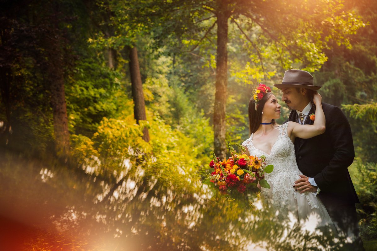 Daniel Stark tweet media