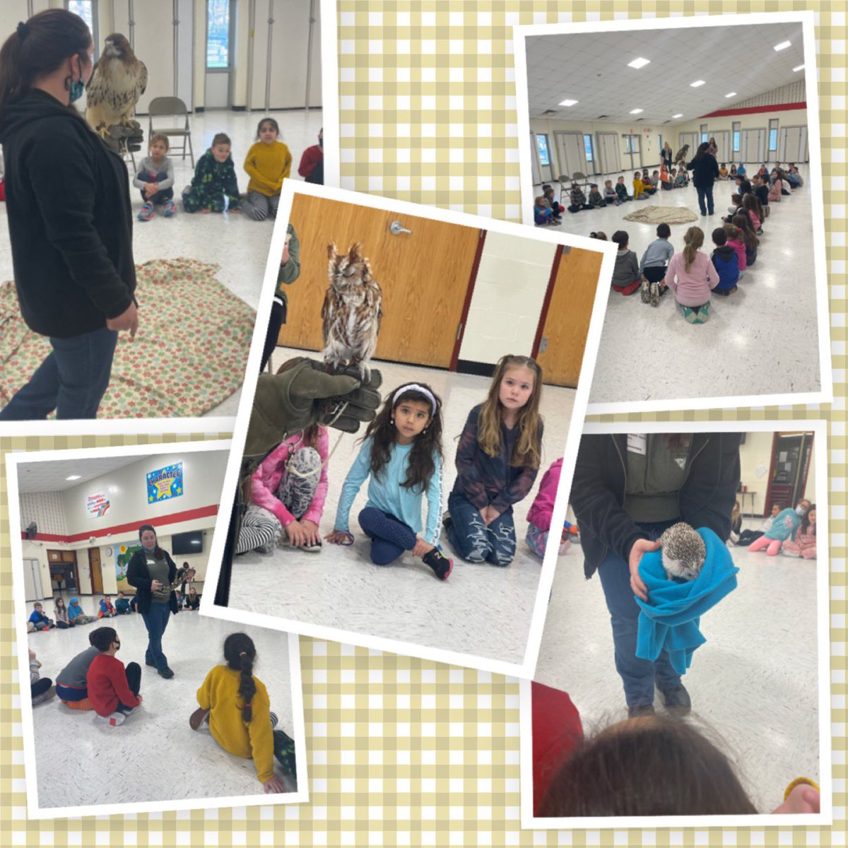 AversanoMs's tweet photo. Thank you Sweetbriar Nature Center and the Dogwood PTA for introducing the second graders to rehabilitated animals and for teaching us unique survival strategies that the animals use in the wild. @SCSD_DEL @SCSD_Curriculum https://t.co/l08M9QbQeg