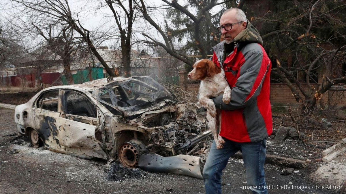 UKRAINE ANIMAL UPDATE: We are currently evacuating animals from Ukraine and with your help, we can DOUBLE the number we save – here's how: ow.ly/8fbF50IawSp
(and you'll also see the latest updates from our team rescuing animals on the ground in #Ukraine)