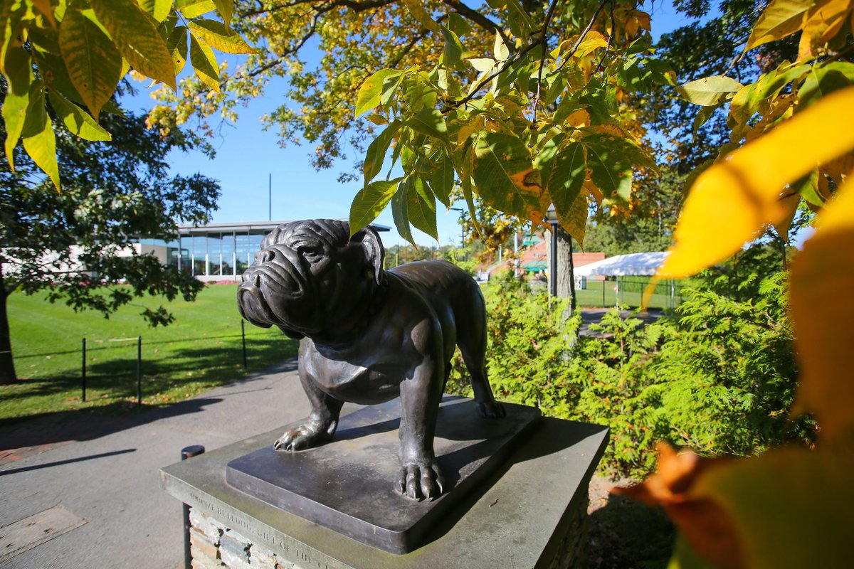 Steven Ciocci tweet media