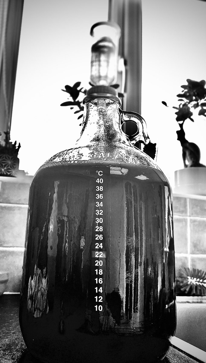 cathalor89's tweet photo. Brew #5 - Chocolate Maple Porter from @bklynbrewshop , really looking forward to this one 😃 https://t.co/B9YHG9gH7X