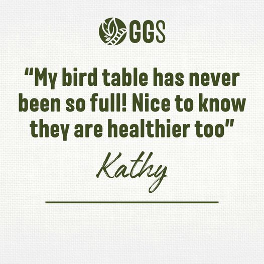 greengrubsuk's tweet photo. #FeedbackFriday Our thanks to Kathy for this lovely feedback on using @greengrubsuk to keep her garden bird table full of healthy visitors. 

It means a lot to us to read testimonials like this so thank you for taking the time to write it. https://t.co/XSauQHJFHm

#mealworms https://t.co/ON89CIB3EX