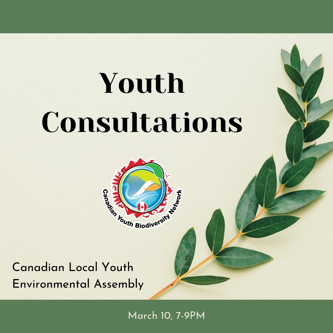 GYBNCanada's tweet photo. Did you miss yesterday's Youth Consultation?
No worries, there's another date coming up!
Register for Day 2 of the consultations on March 10, 7-9PM
🔗 https://t.co/8xQs6KMlU6
#environment #youth #biodiversity #young_people #youth_empowerment #youth_development
@gybn_cbd https://t.co/XdBgxmm3o9
