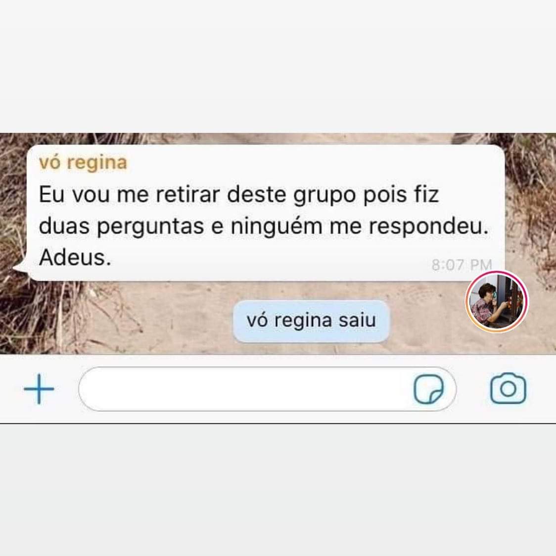 Memes Acessíveis on X: Conversa de WhatsApp: vó regina: Eu vou me