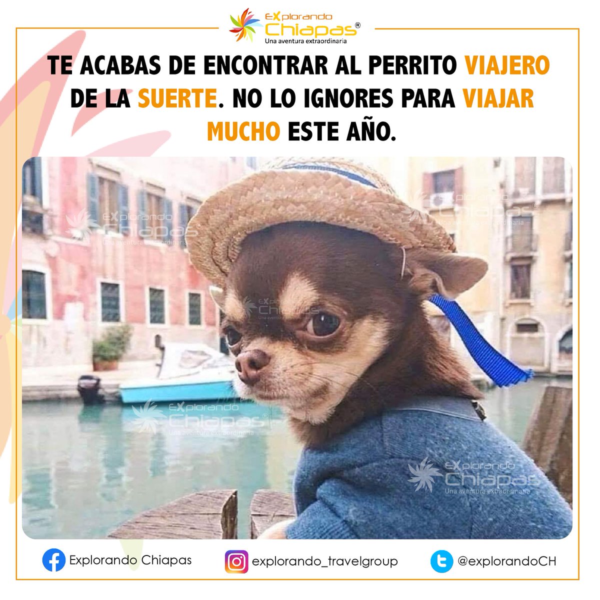 explorandoCH's tweet photo. #viaje #viajes #viajar #tours #suerte #viral #vacaciones #travel #chiapas https://t.co/PswJ9fCs9G