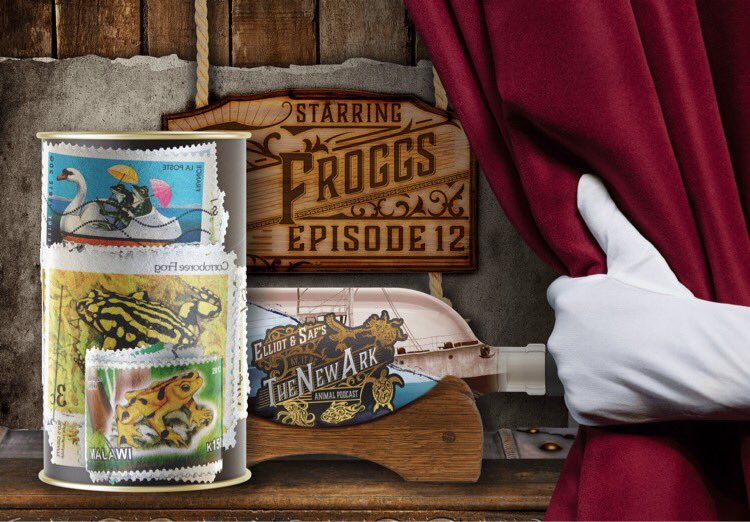 U know, frogs are descended from a species called Beelzebufo 🧬🦖. They’re literally the spawn of satan 🍼👹🔥🐸. 

But who said devils can’t win medals 🤷? Listen to the saintly Saf 😇 praising frogs forty ways to Sunday 🥱👏 on this week’s podcast 🎙: bit.ly/newarkhives