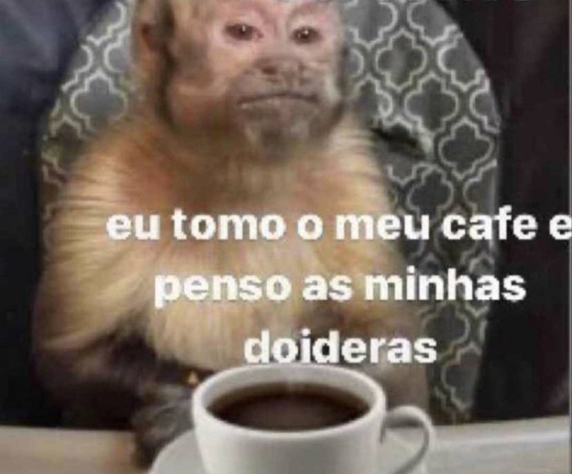 macaco falando faz cafe pra nois