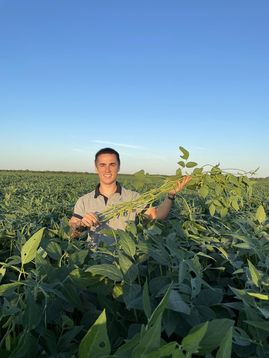 talaverafer's tweet photo. Soja en Boquerón, Chaco Paraguayo 🌱🇵🇾 https://t.co/LHvt5CgS0Q