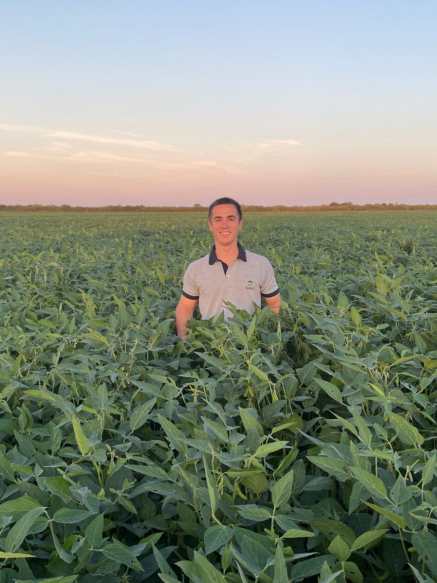 talaverafer's tweet photo. Soja en Boquerón, Chaco Paraguayo 🌱🇵🇾 https://t.co/LHvt5CgS0Q