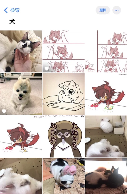 いぬみや、あいんほほ11に無事「犬」カウントされるの巻 