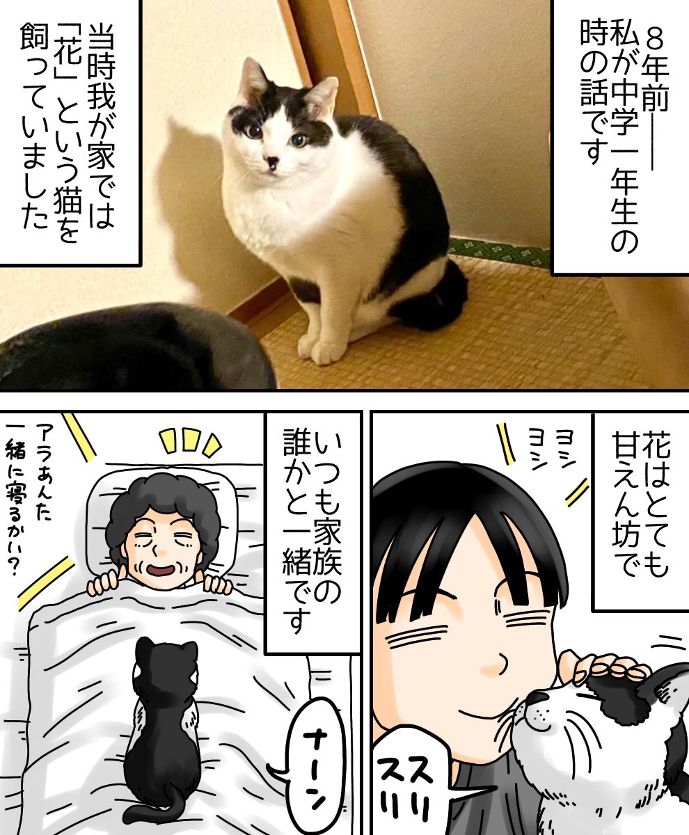 フォロワーさんが実際に体験したお話 夫の最後 の時 父が好きだった猫の行動が不思議すぎて涙が止まらない Cupeポスト フォロワーさんが実際に体験したお話 夫の最後 の時 父が好きだった猫の行動が不思議すぎて涙が止まらない Cupeポスト