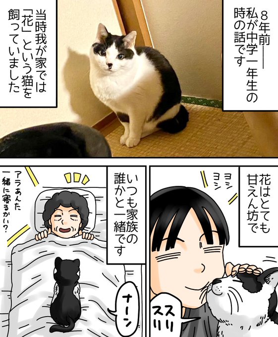 フォロワーさんの体験談  1/3 