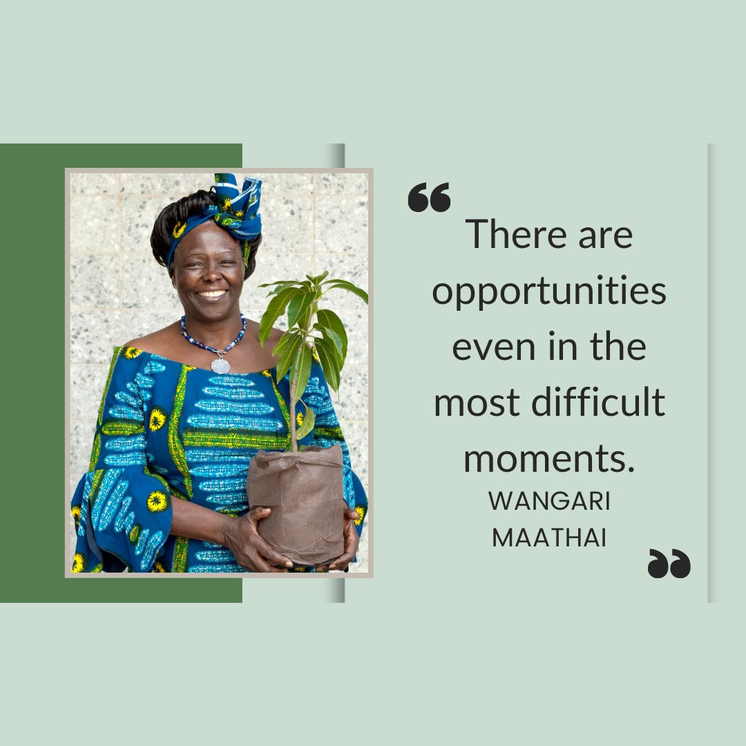 Racial Trauma Center at GVP tweet media