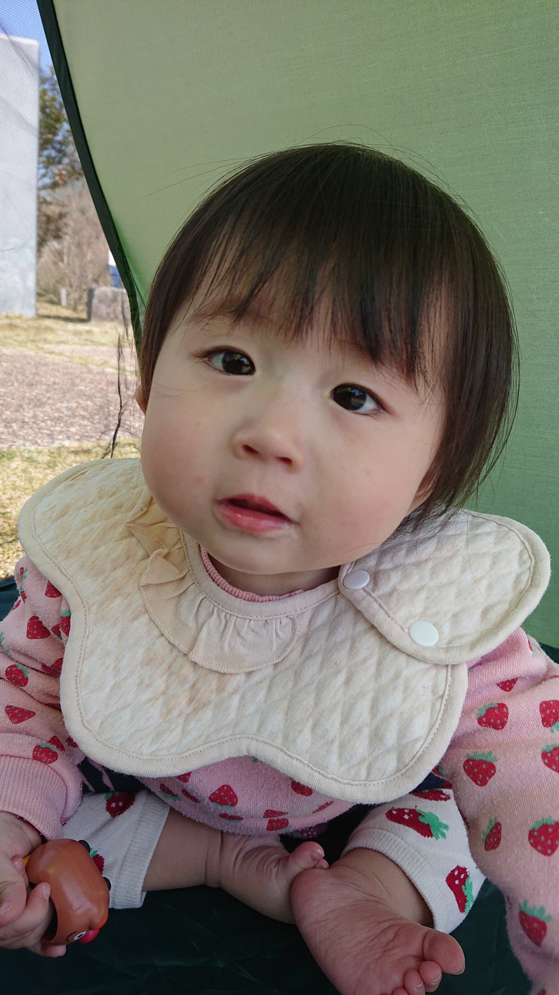うさぎのあくび ご報告 3月4日夜 次女ゆかなが天国へ旅立ちました 4歳8ヶ月 最期は痛みもなく穏やかでした 病気が発覚して2年8ヶ月 本当によく頑張ってくれました これからもずっとずっと私の可愛い娘です Twitterで気にかけてくれて うさぎのあくび ご報告 3月4日夜 次女ゆかなが天国へ旅立ちました 4歳8ヶ月 最期は痛みもなく穏やかでした 病気が発覚して2年8ヶ月 本当によく頑張ってくれました これからもずっとずっと私の可愛い娘です Twitterで気にかけてくれて
