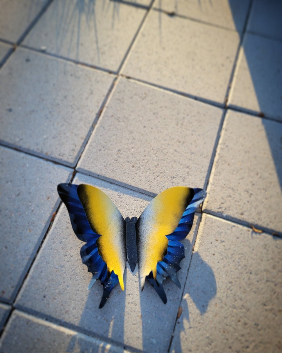 Amanda Marie tweet media