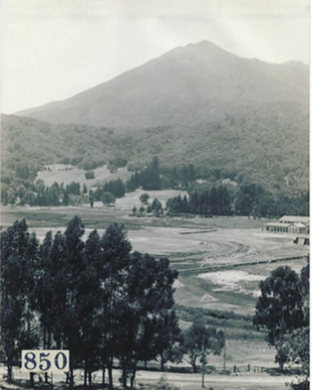 California State Capitol Building tweet media