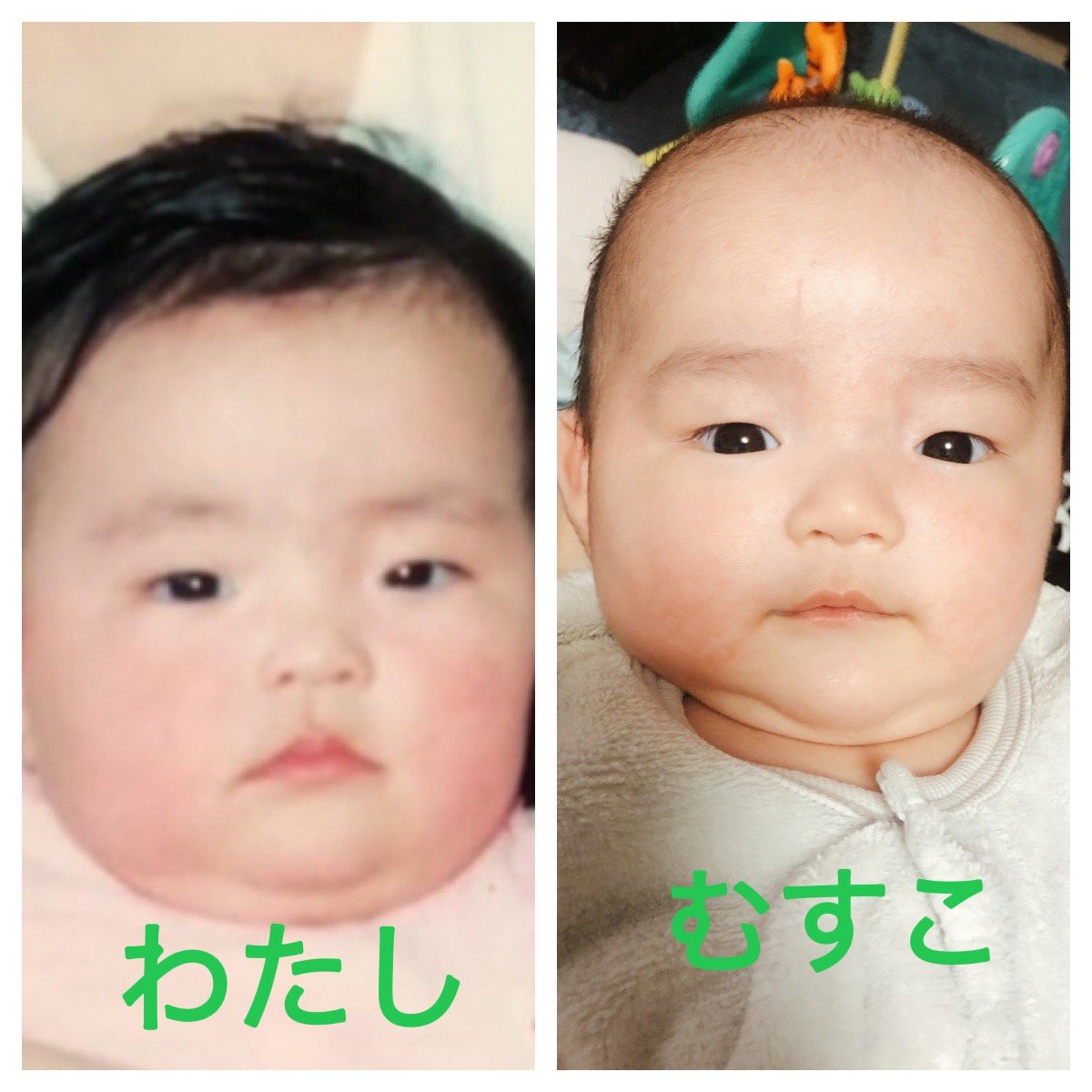 まるこめ味噌７m Maruuu Twitter