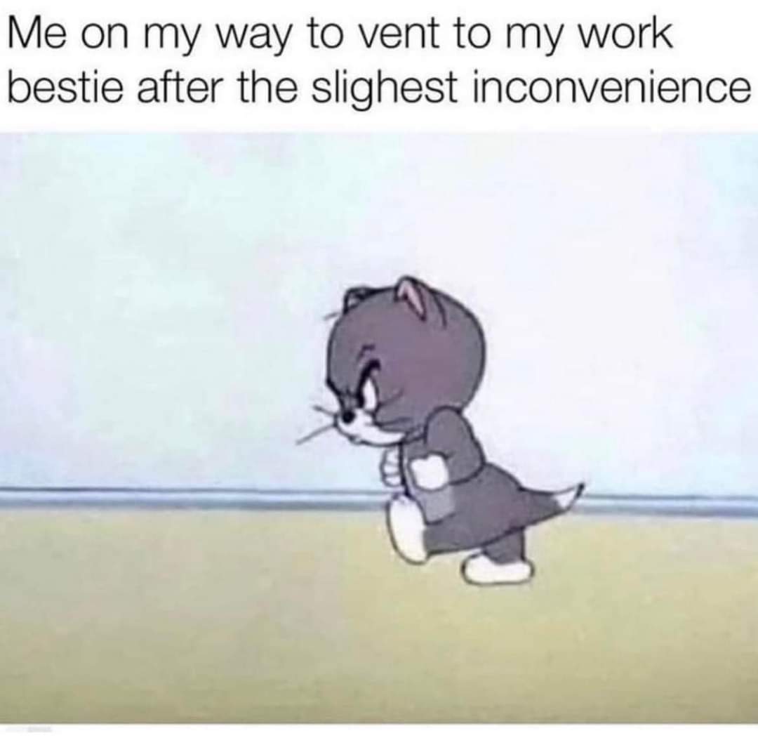 The Groovy Teacher tweet media