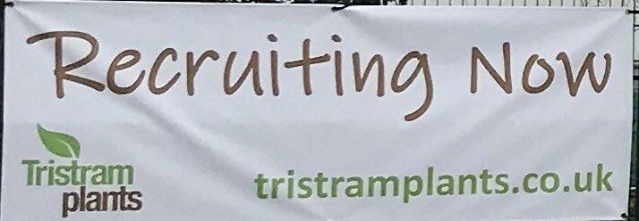 TristramPlants's tweet photo. Various roles available including seasonal. Many of our full time employees started as seasonal and liked it so much they made #Horticulture their #career #sussexgrown #Arundel #Barnham #Walberton #Chichester #jobs #recruitment https://t.co/dcKY9fsOjP
