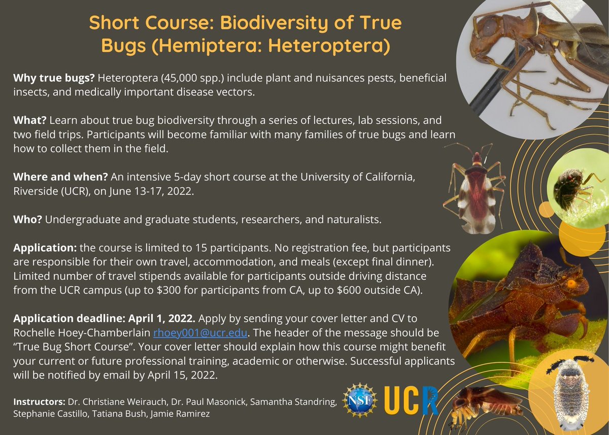 Christiane Weirauch tweet media