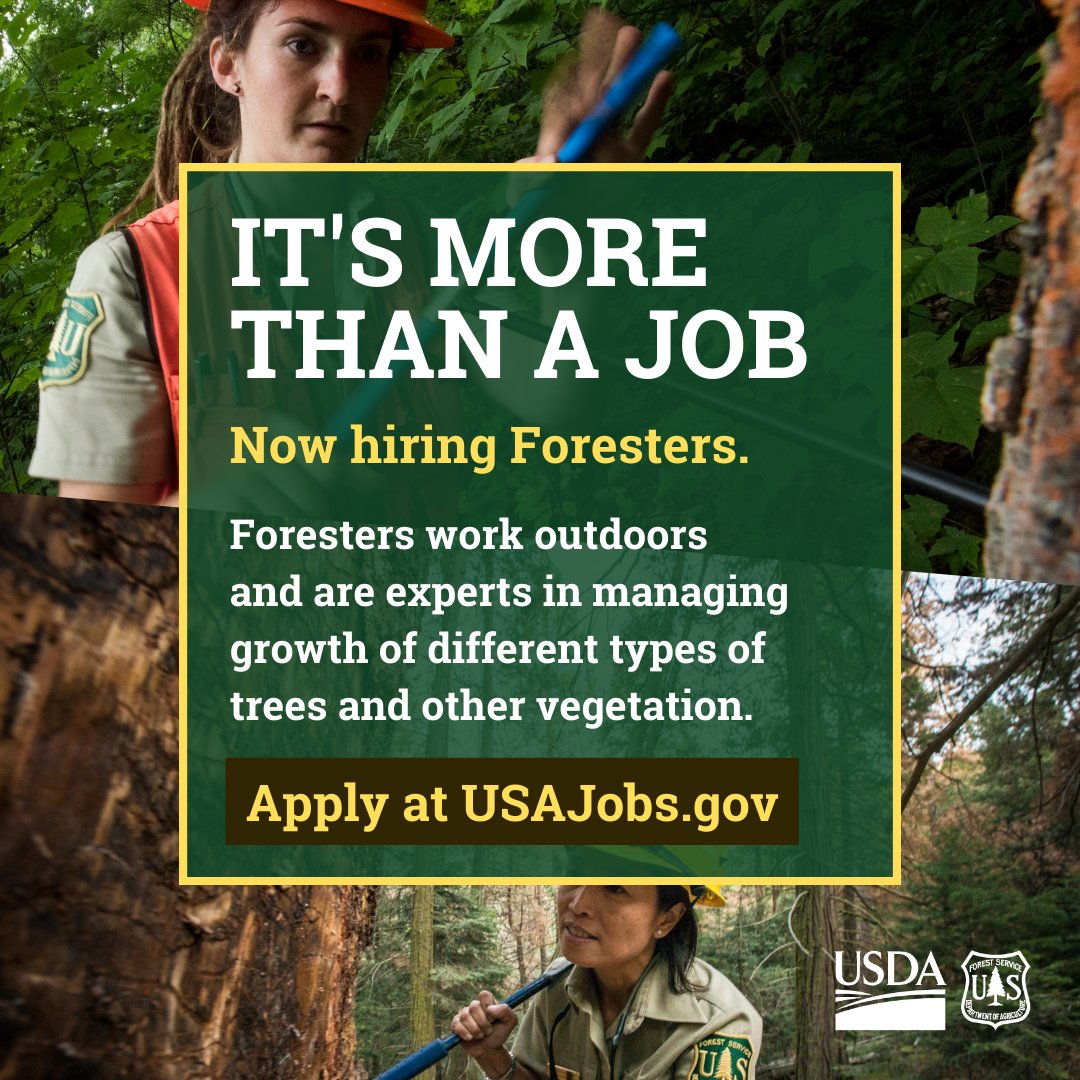 Forester Job Description