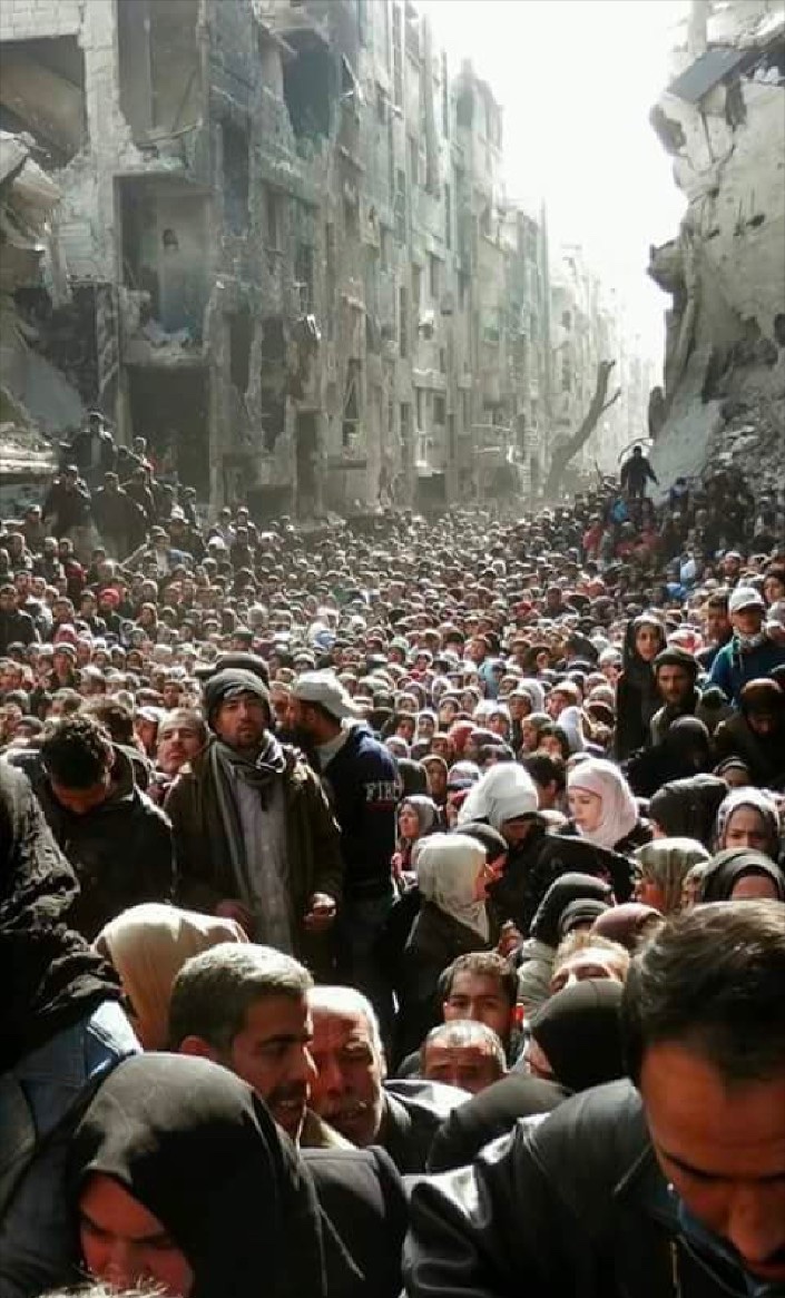 zach | zakaria chebbah.زكريا شباح🇩🇿🇵🇸 tweet media