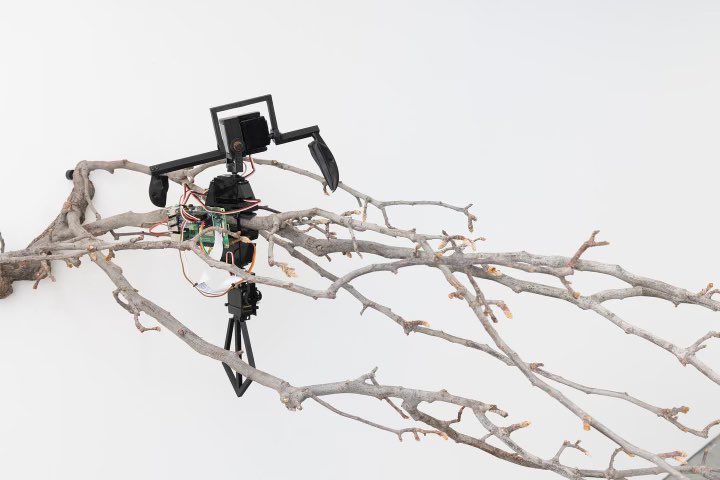 UCIBeallCenter's tweet photo. Closing reception for Ian Ingram's retrospective show is tomorrow, Saturday March 5 from 2-5pm. Guests will have the opportunity to the artist of the show, be curious, ask questions! 

Photography by @yubonotworking (ig:@ofphotostudio)

#robotics #CTSA https://t.co/NlmBsoqwdg
