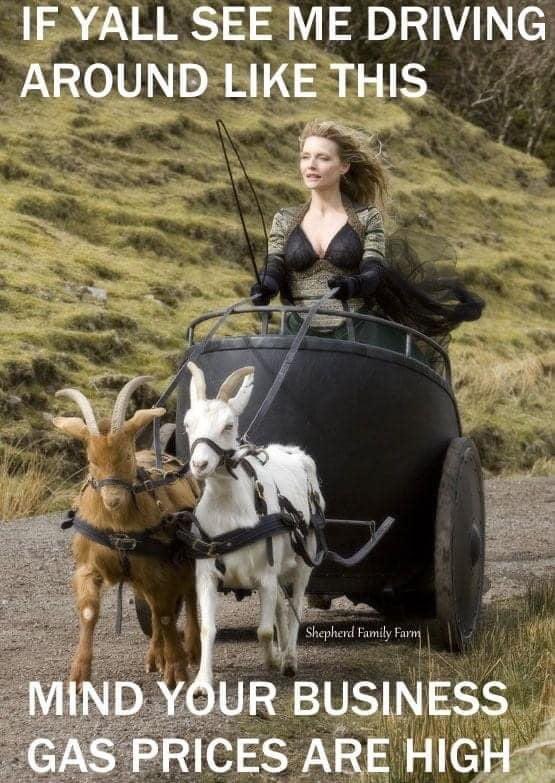 Hey, <a href="/neilhimself/">Neil Gaiman</a> your Stardust film image is a viral meme right now. Someone sent it to me not knowing that we were friends. I ❤️this image. 🐐🐐