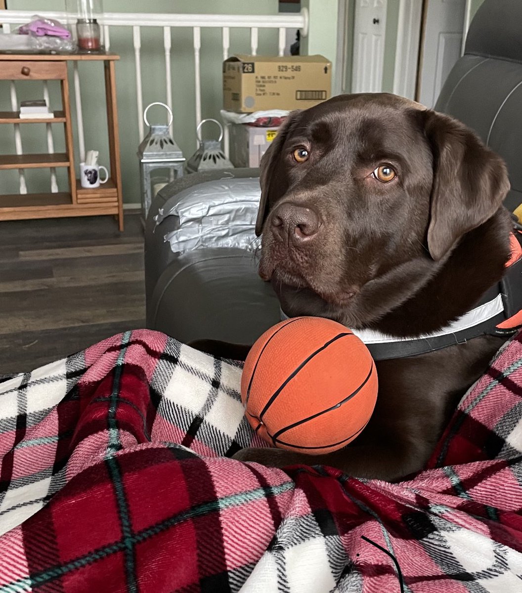 Keely feeman tweet media