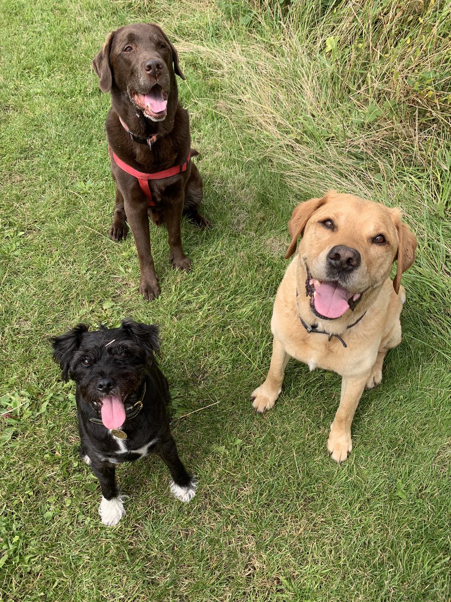 My boys are missing me!  #mayorsbizawards