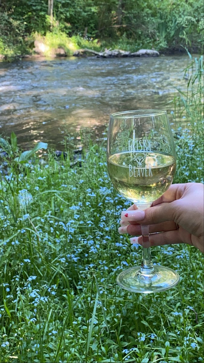 You Frisky Beavers know that we are counting down the days until Spring/Summer 🌷🥂Which means you're probably looking for a Summer wine to sip on while you bask in the sunshine 🌞 Look no further than our Frisky White! Light body with bright acidity and a touch of sweetness