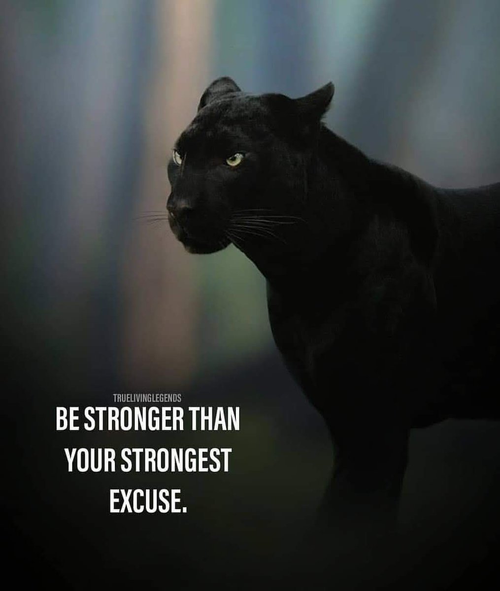 heartnity's tweet photo. #thoughts #excusesthatalwayswork 
#frases https://t.co/1flDwgkyC8