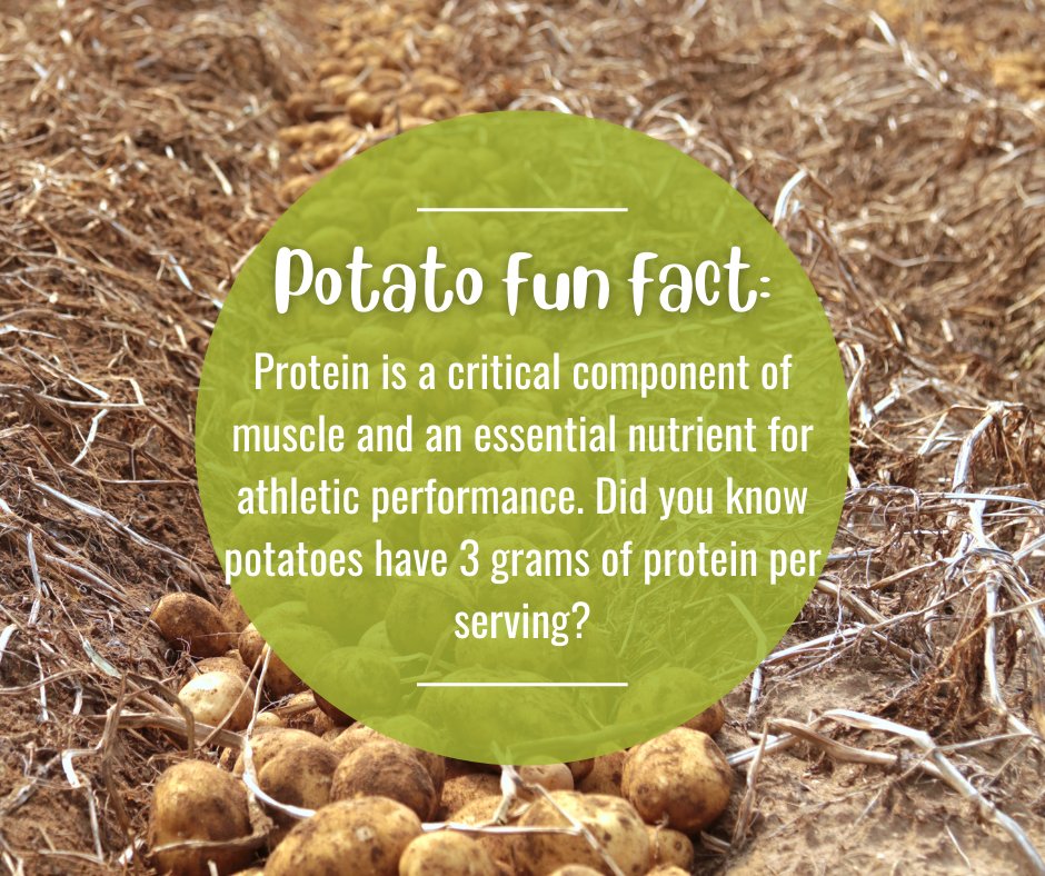 OldOakFarms's tweet photo. #FridayFacts #potatofacts https://t.co/MDSq7wr4zc