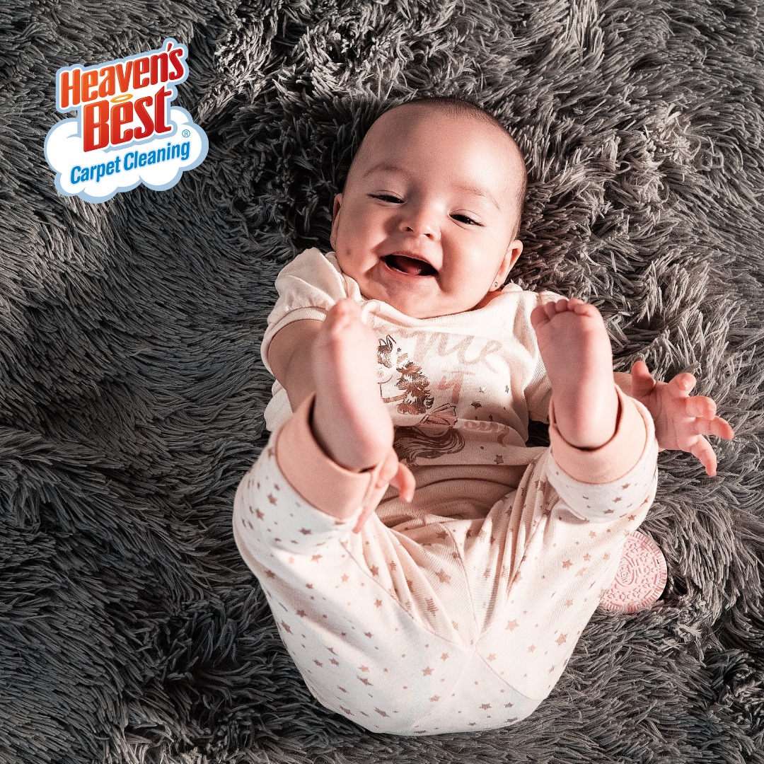 Heaven's Best Carpet Cleaning Marshall MN (HeavensBestMN) Twitter