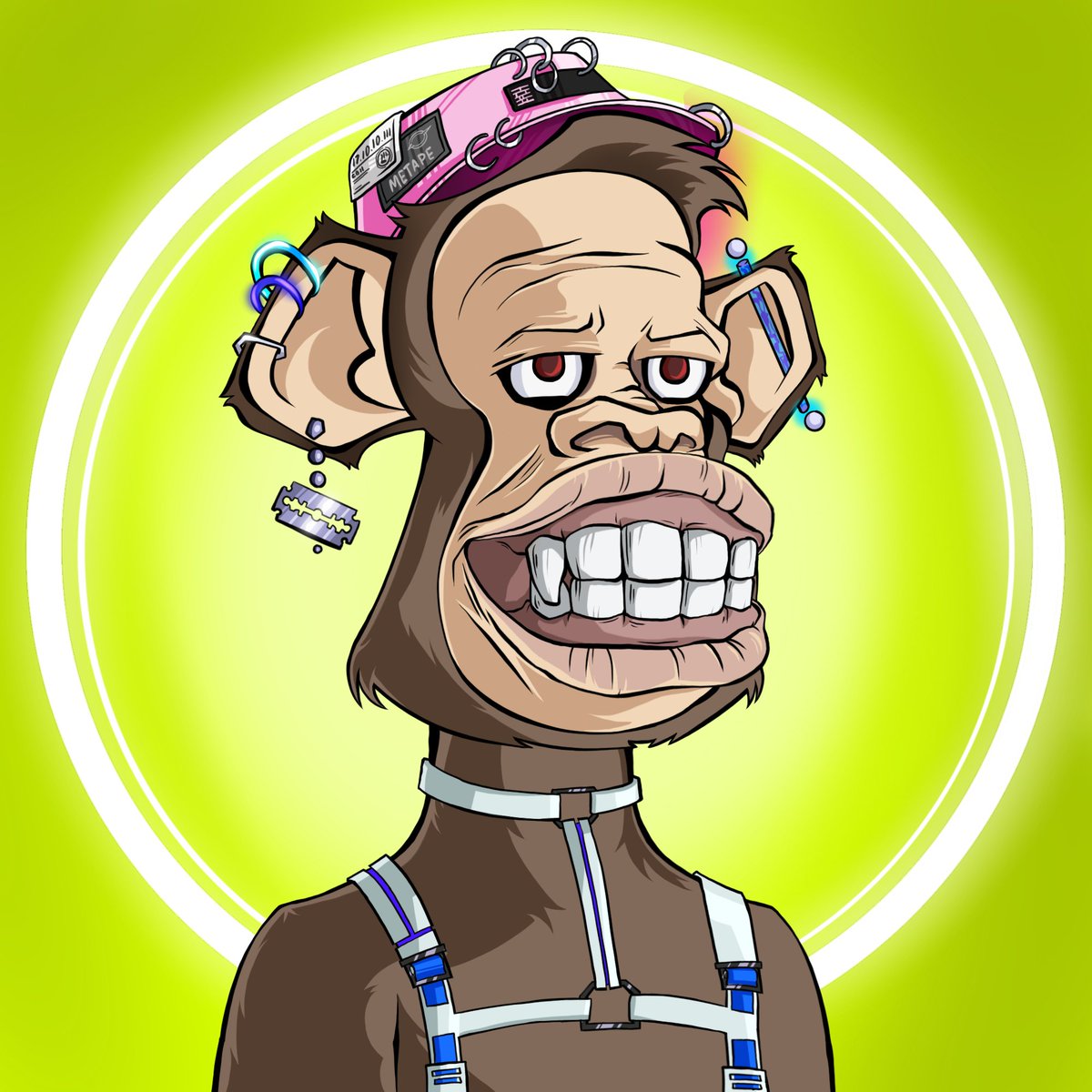 0xhams tweet media