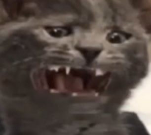 physicspuzzles's tweet photo. / Gordon when he heard “he asked” https://t.co/BhUi7KLUkv