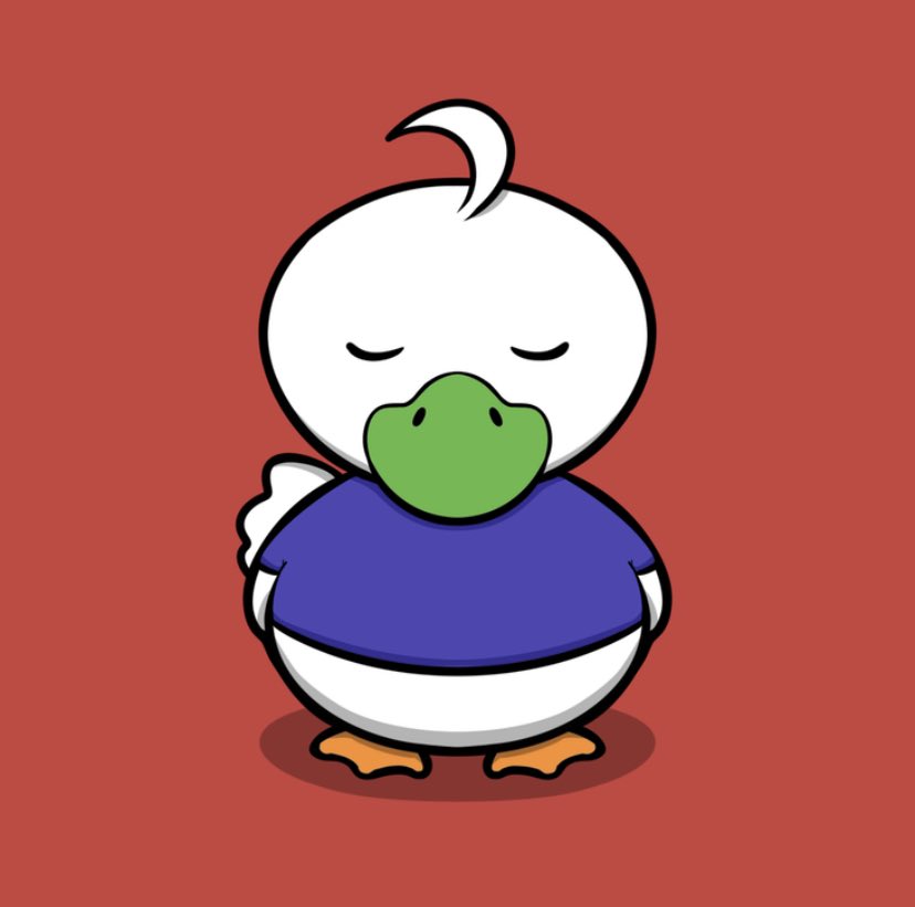 Dastardly Ducks (🦆,🦆) tweet media