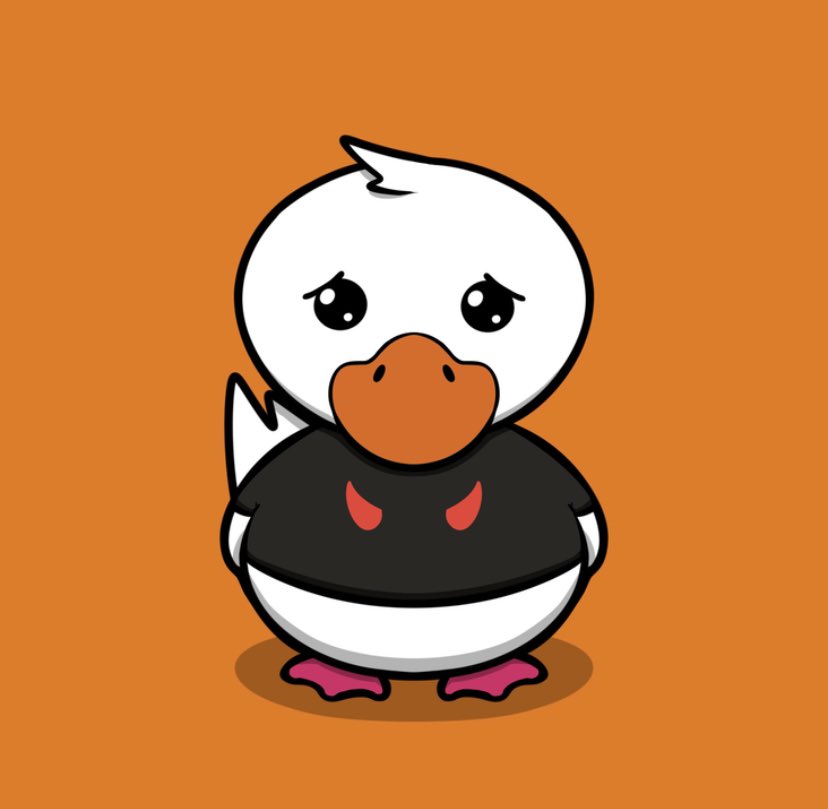 Dastardly Ducks (🦆,🦆) tweet media