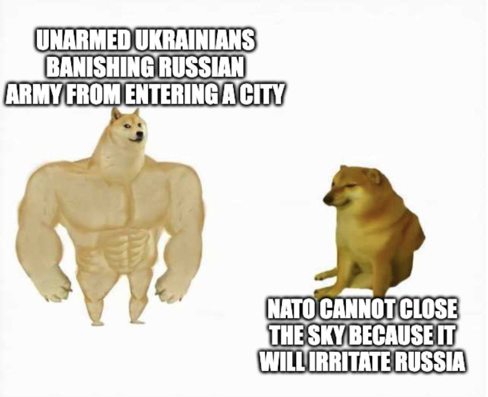 Max Shash tweet media