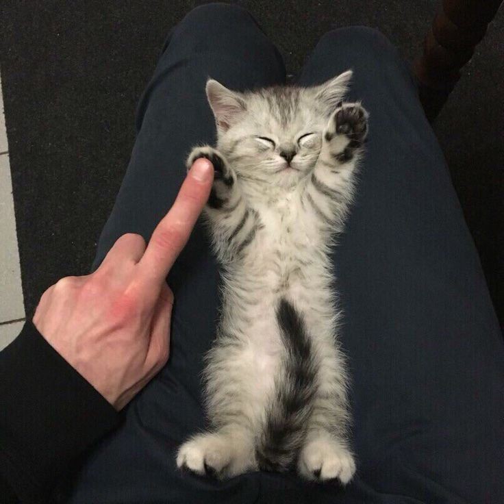 High five 🤍