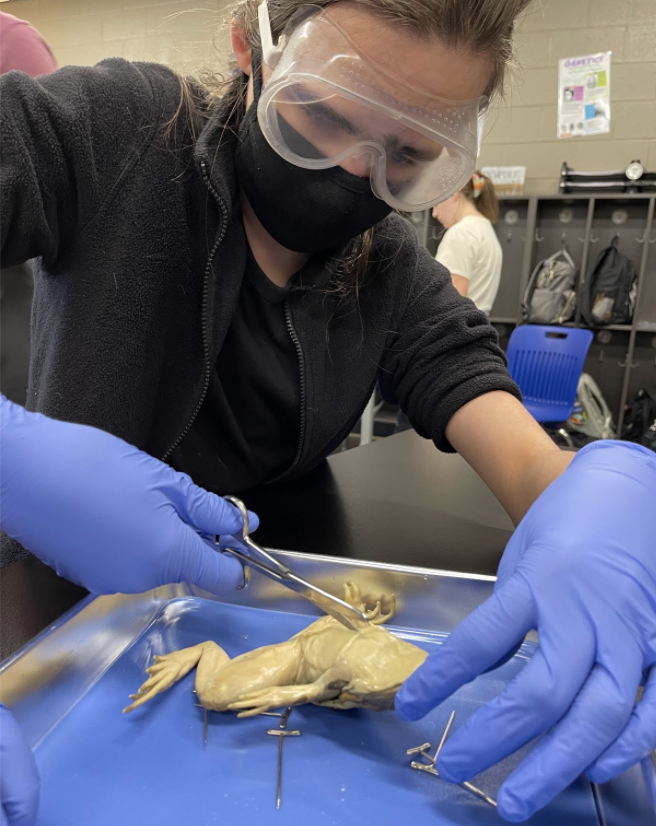 East End Middle School tweet media