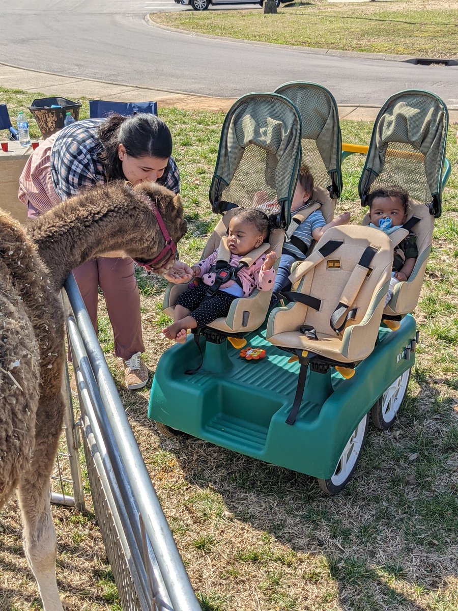 FSSD MAC tweet media