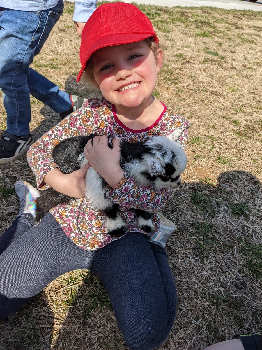 FSSD MAC tweet media